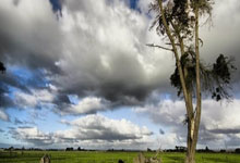 名记：活塞现在处于上升期 赛季中期可能会寻求交易补强，活塞现在的阵容