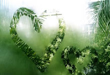 再等等!记者:曼联尚未报价莱比锡前锋塞斯科,莱比锡对曼联比分