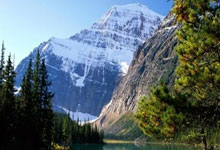 名记:活塞现在处于上升期 赛季中期可能会寻求交易补强,活塞现在的阵容