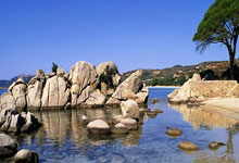 名记：活塞现在处于上升期 赛季中期可能会寻求交易补强，活塞现在的阵容