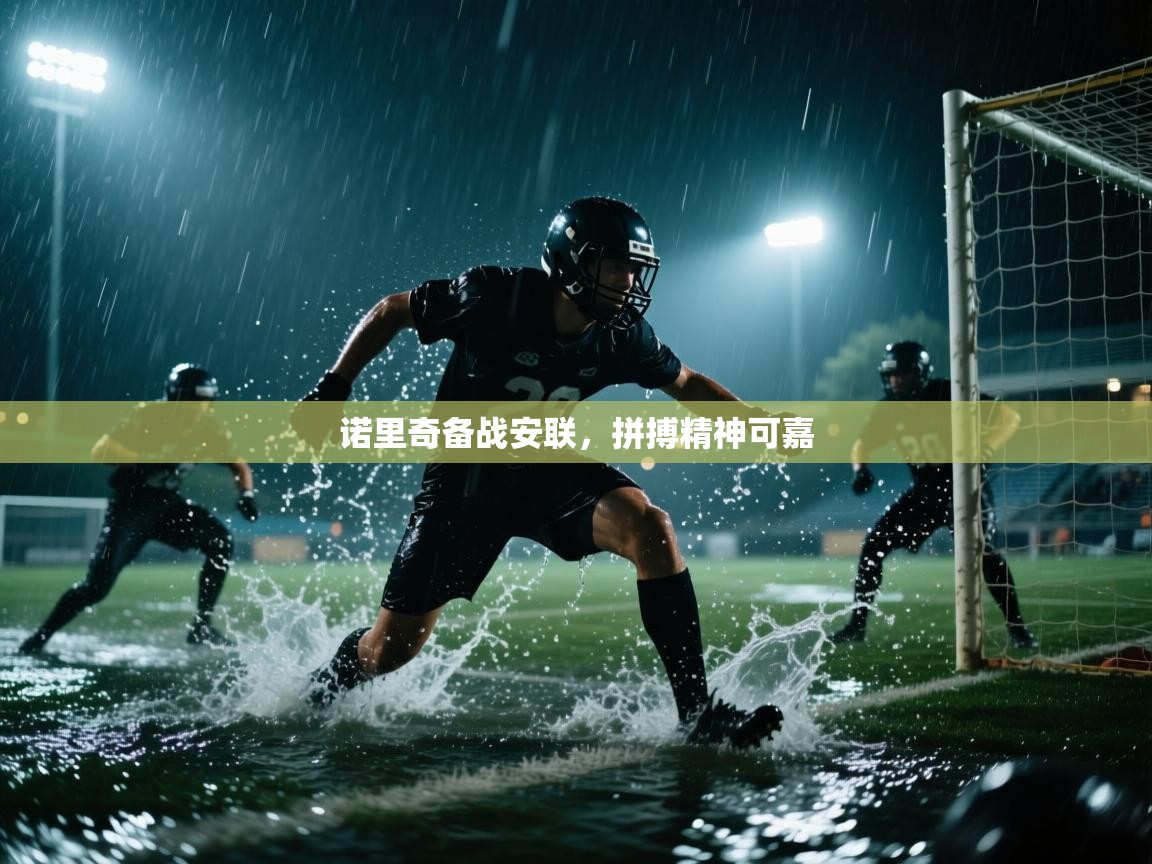 诺里奇备战安联，拼搏精神可嘉  第2张