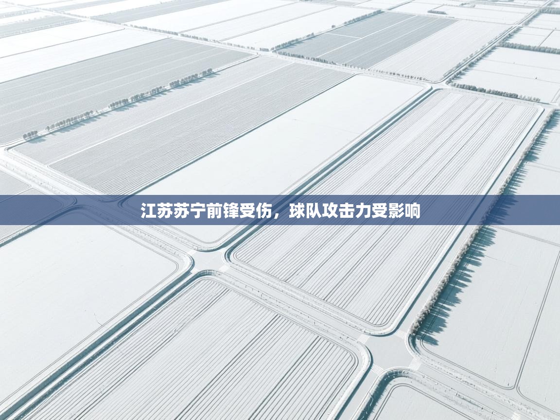 江苏苏宁前锋受伤，球队攻击力受影响  第1张