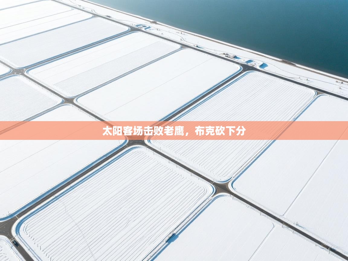 太阳客场击败老鹰,布克砍下分 第2张